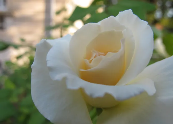 מלון La Maison De Sophie נים