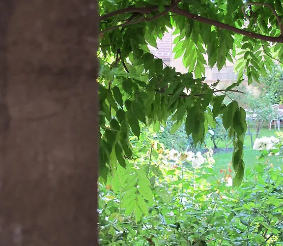 Hotel La Maison De Sophie *